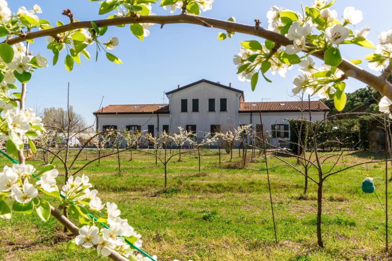 Agriturismo Ca' Baccan Cavallino-Treporti Exteriér fotografie