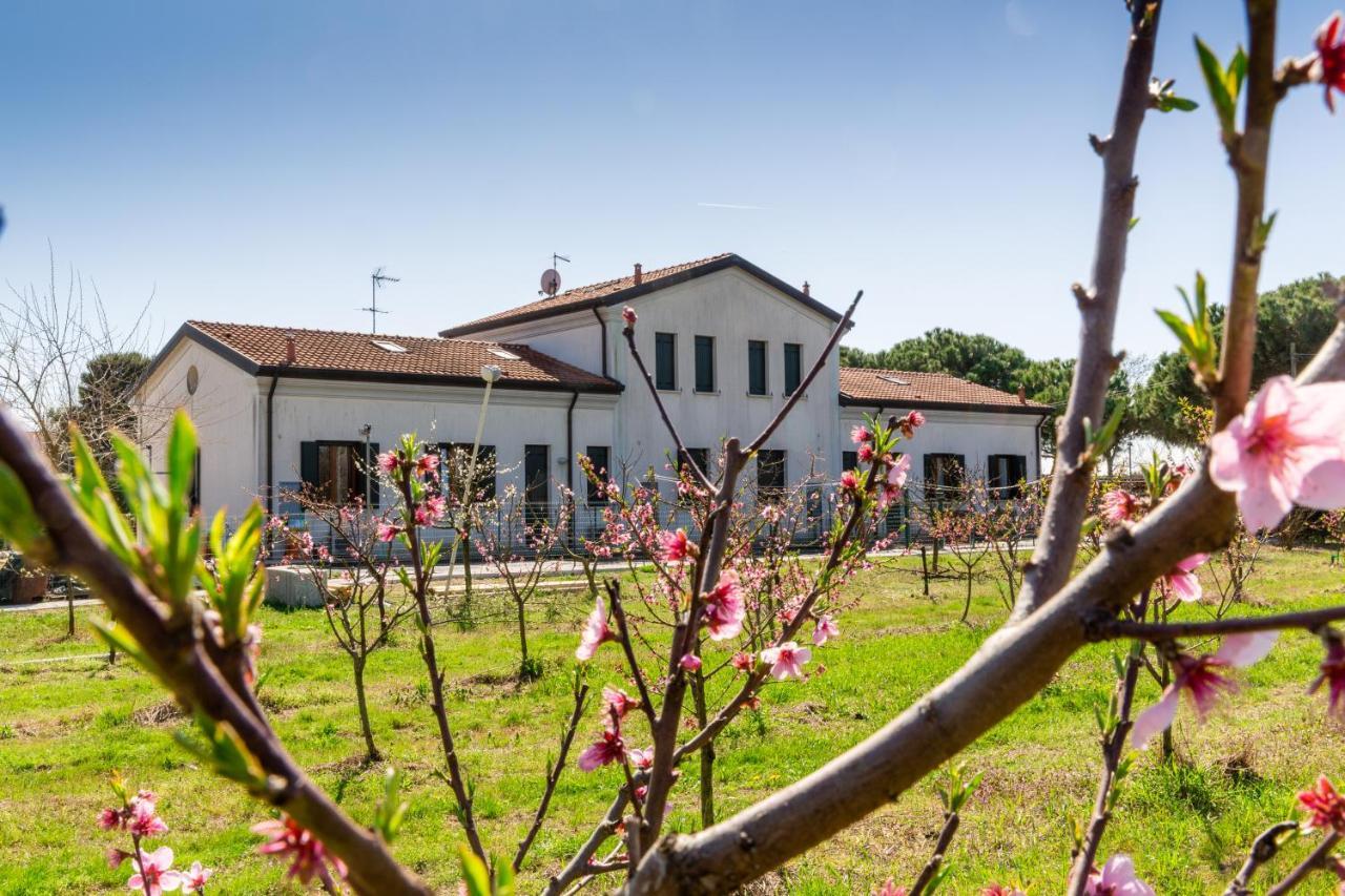 Agriturismo Ca' Baccan Cavallino-Treporti Exteriér fotografie